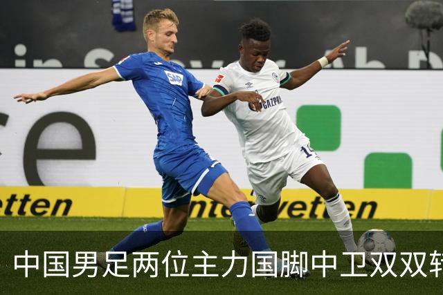 中国男足两位主力国脚中卫双双转会山东足坛，新赛季挑起重担引关注