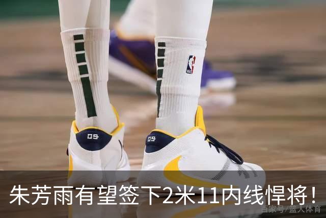 朱芳雨有望签下2米11内线悍将！